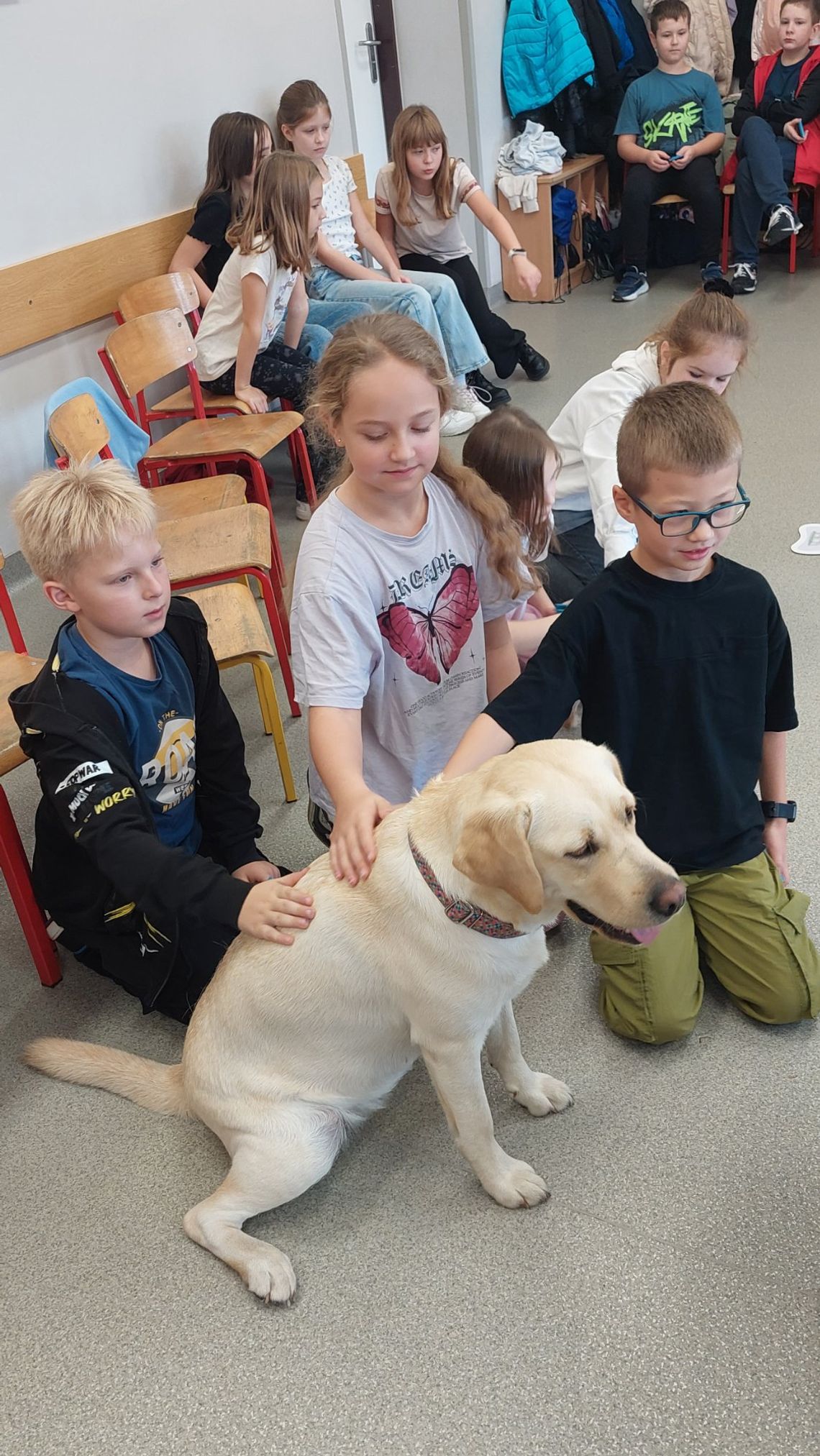 Dogoterapia w szkole w Oleśnicy Dogoterapia w szkole w Oleśnicy