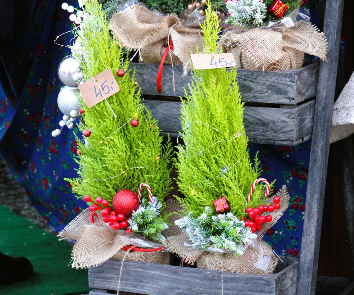 Do X Dobroszyckiego Jarmarku Bożonarodzeniowego został tydzień