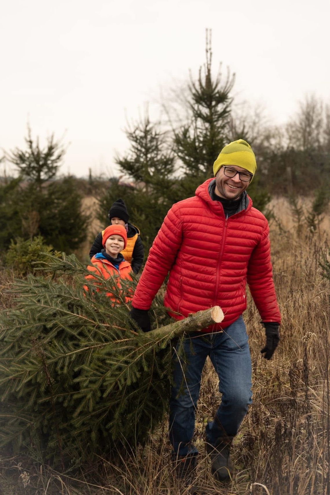 Kiedy i gdzie kupisz choinkę prosto z lasu?