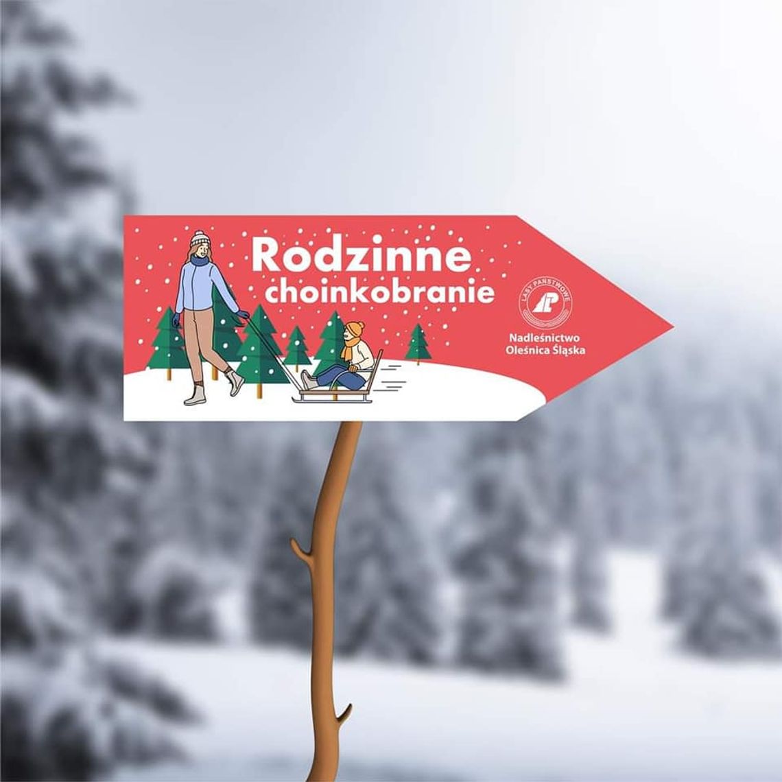 Nadleśnictwo Oleśnica Śląska zaprasza na rodzinne Leśne Choinkobranie 2025