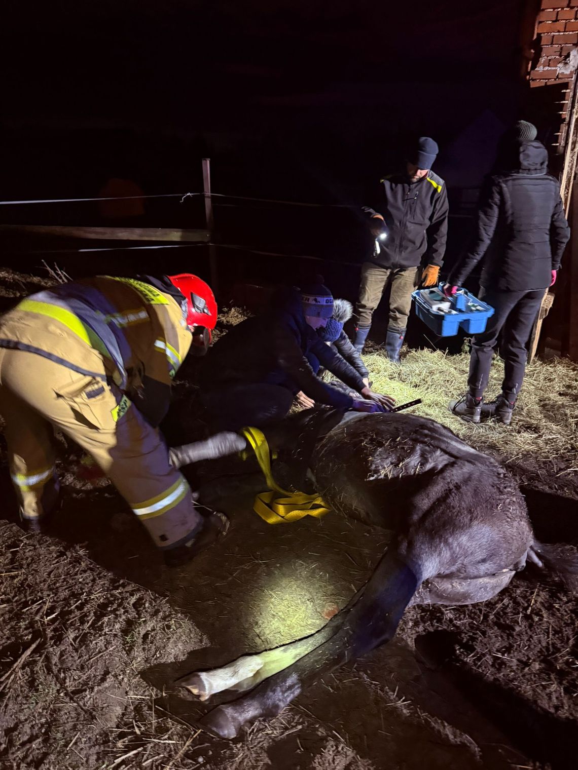 Niezwykła akcja ratunkowa – strażacy uratowali uwięzionego konia!