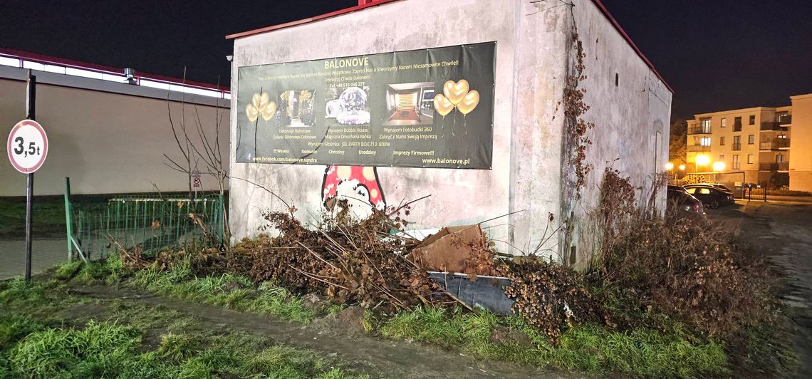 Kto wyrzucił brodzik i schował pod gałęziami?