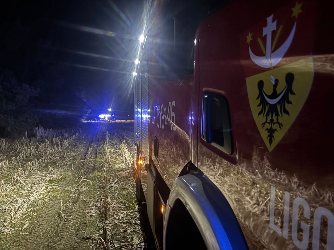 Pożar ściółki leśnej w Krzeczynie. Dwa zastępy straży z Oleśnicy i Ligoty Małej na miejscu