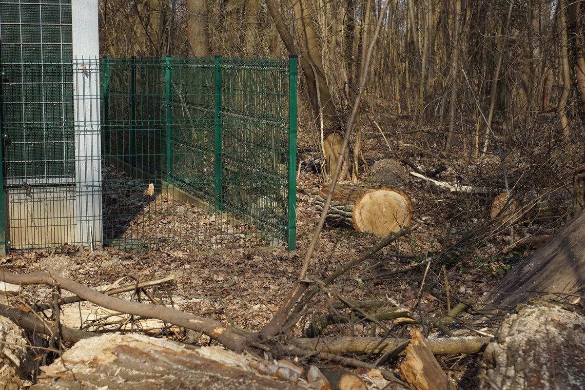 Degradacja terenu „Wodociągi” w Oleśnicy – znikająca zieleń