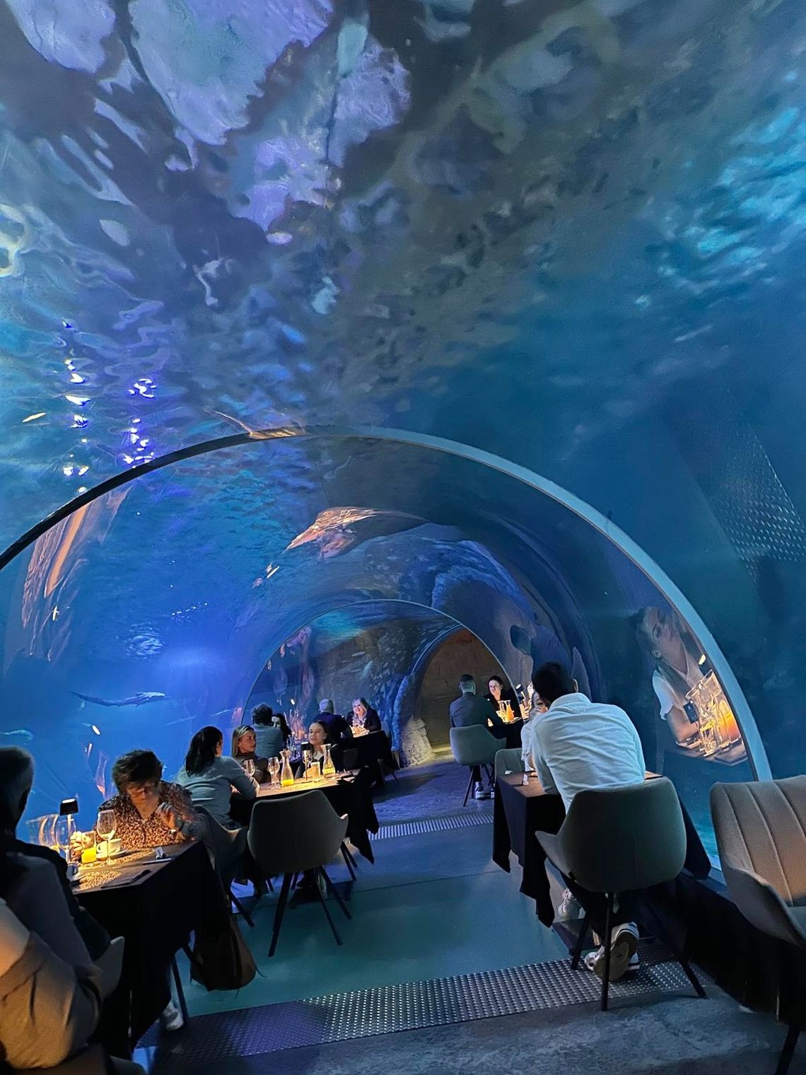 Podwodna kolacja ze starostą oleśnicką Podwodna kolacja ze starostą oleśnicką