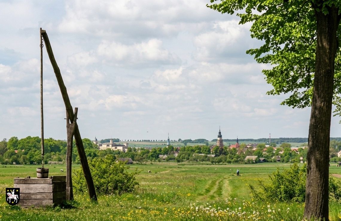 Drewniane rury i pierwsza woda w Sycowie – tak wyglądała rewolucja ponad 120 lat temu