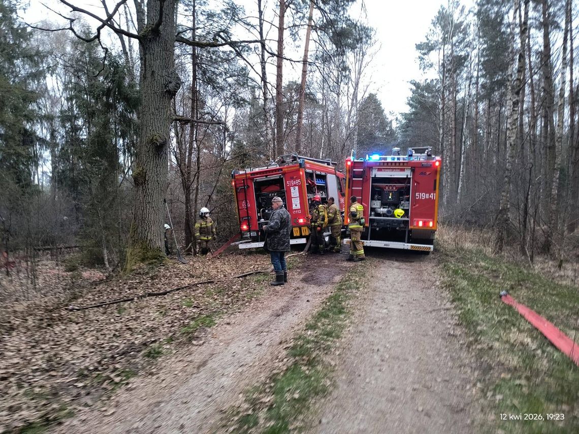 Ogromny pożar lasu! W akcji samolot gaśniczy i dziesiątki strażaków