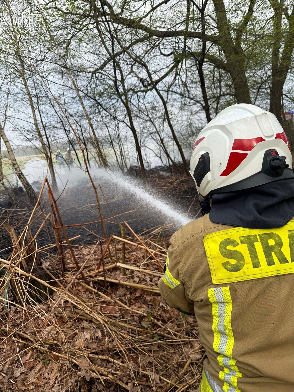 Pożar nieużytków w Grabownie Małym: OSP Twardogóra w akcji