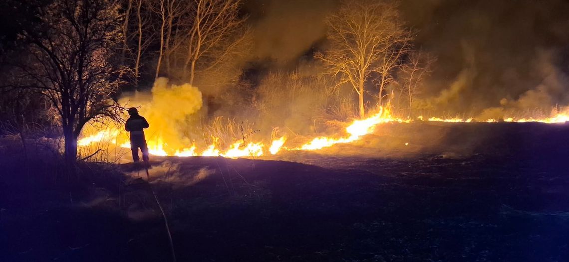 Groźny pożar trzciny w Grabownie Wielkim