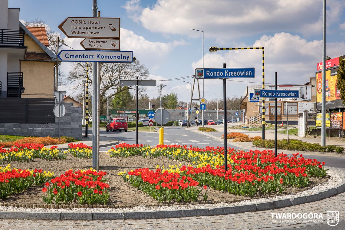 Twardogóra rozkwitła w kolorach wiosny