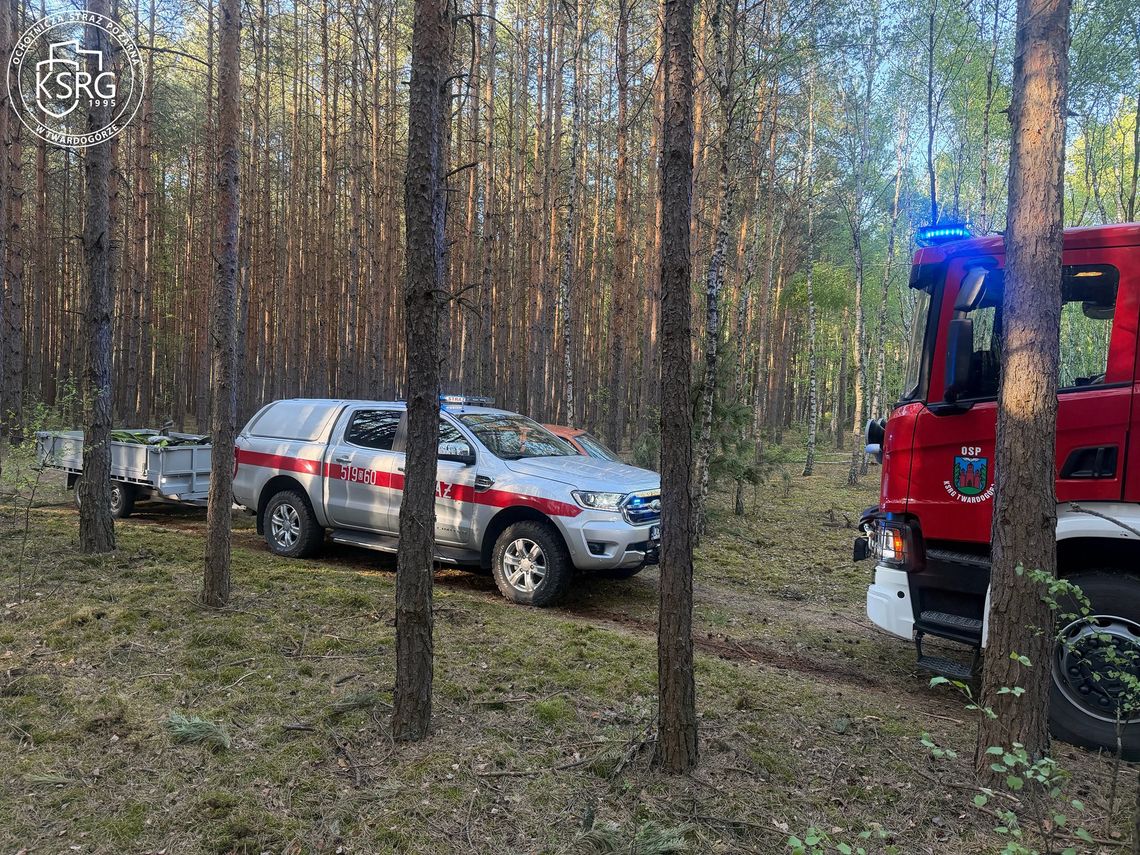 Pożar lasu pod Oleśnicą! Do akcji ruszyły liczne zastępy i śmigłowiec