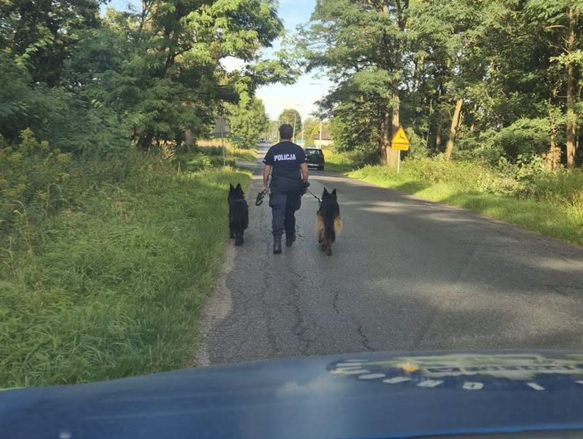 Dwa owczarki niemieckie odnalazły drogę do domu dzięki policjantom Dwa owczarki niemieckie odnalazły drogę do domu dzięki policjantom