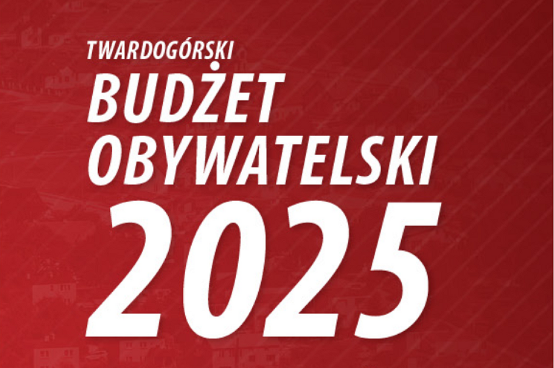 11 projektów w budżecie obywatelskim