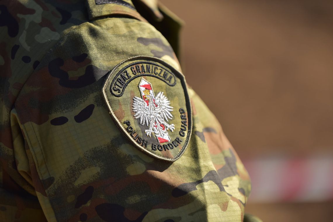 50 nielegalnych pracowników zagranicznych w tartaku w powiecie oleśnickim 