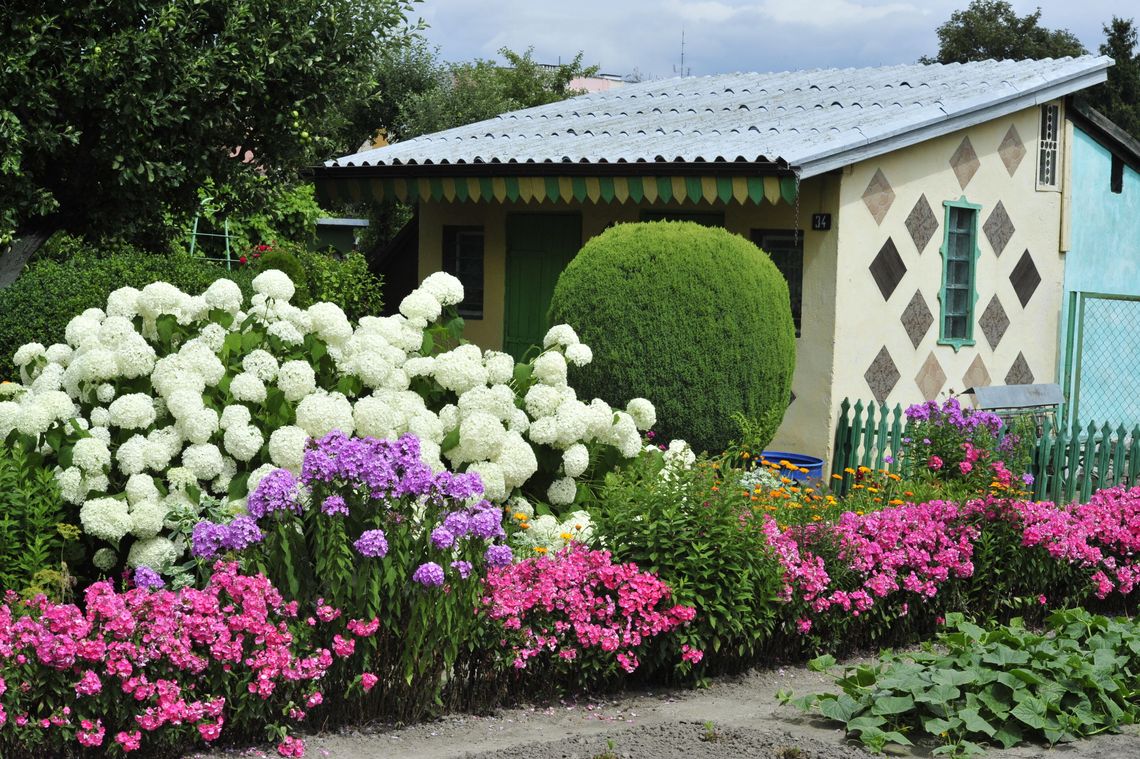 70 lat ROD "ZNTK" w Oleśnicy 70 lat ROD "ZNTK" w Oleśnicy