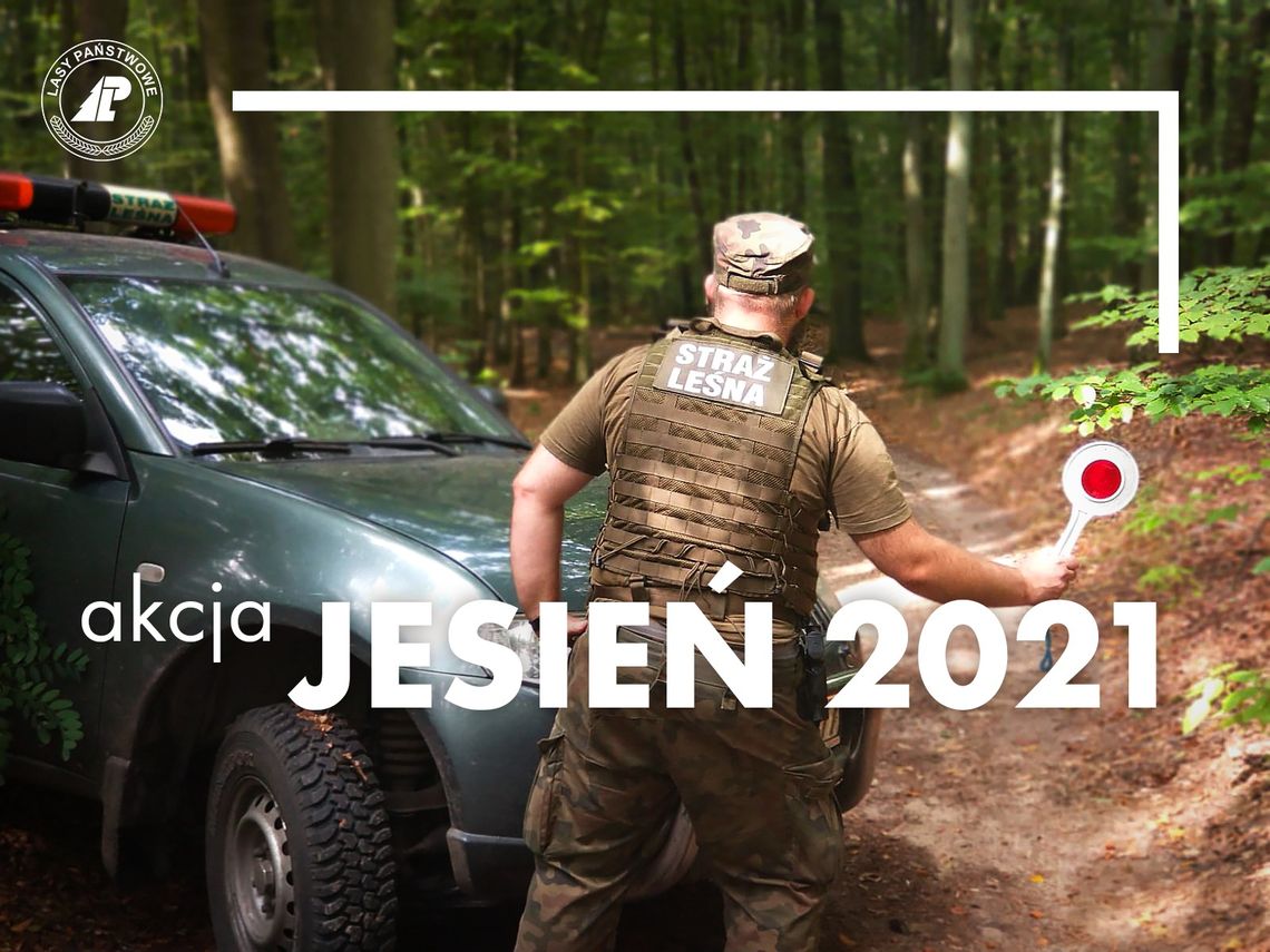 Akcja o kryptonimie „Jesień 2021”