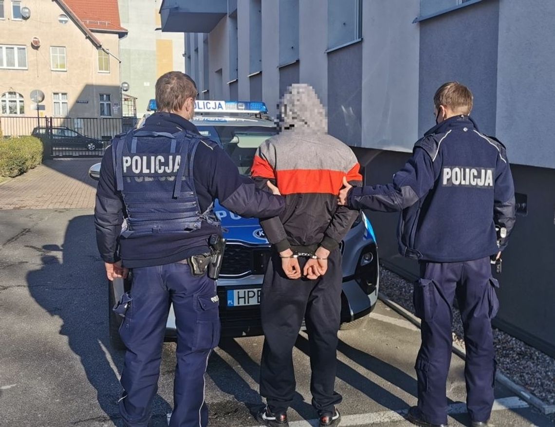 Areszt dla młodocianych sprawców włamań i kradzieży w Oleśnicy