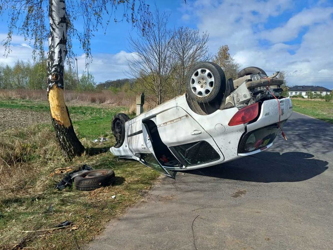 Autou derzyło w drzewo Świętym Marku. Kierująca była pijana