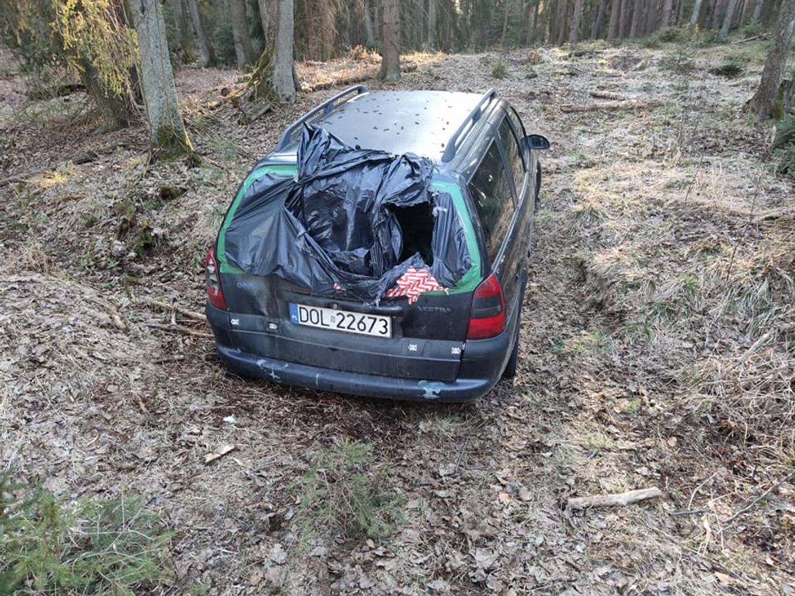 Auto porzucone w lesie w okolicach Sosnówki