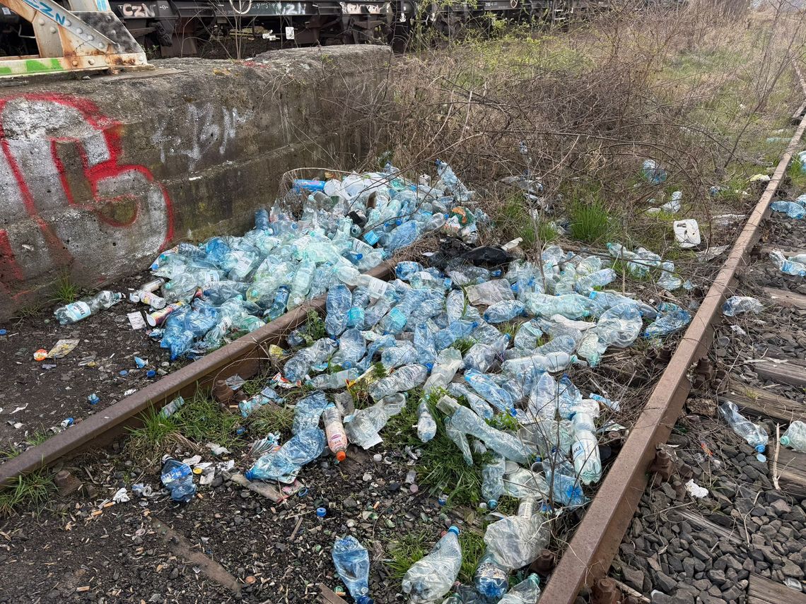 Bałagan przy kładce w Oleśnicy. Radny alarmuje: „Tak witamy mieszkańców i gości?”