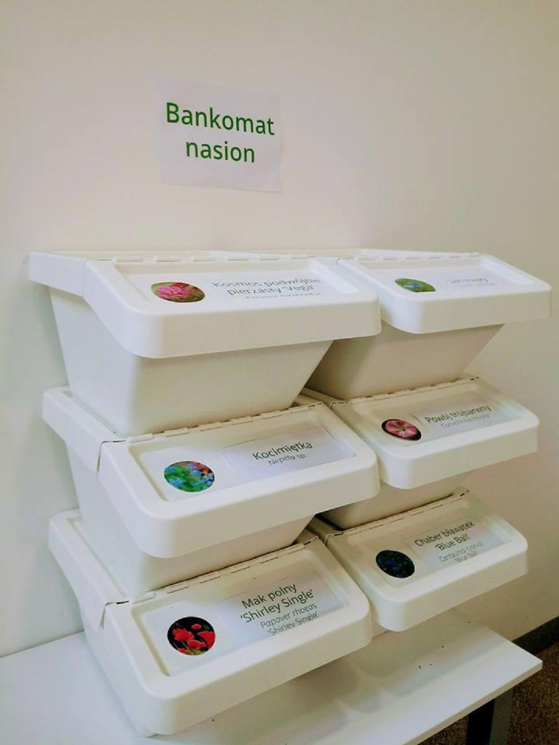 Bankomat... nasion w Oleśnicy? Co Wy na to?