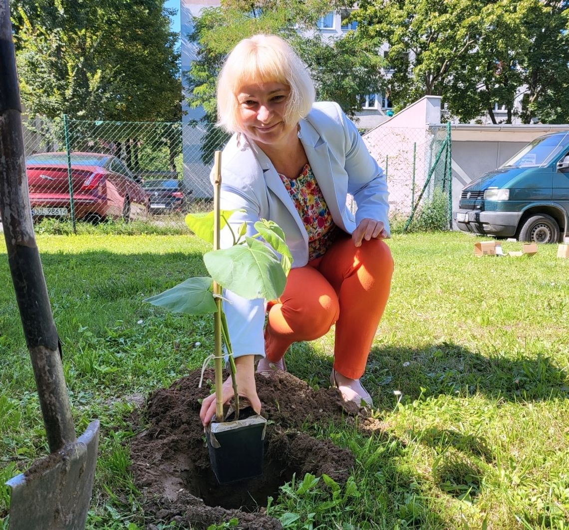 Biblioteka w Oleśnicy posadziła drzewo. Jakie? Tlenowe