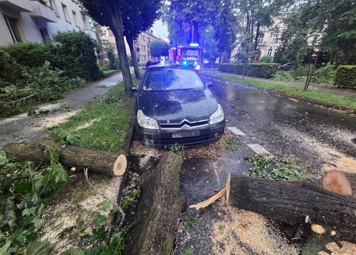 Burze dały się we znaki. Strażacy interweniowali 12 razy w powiecie oleśnickim Burze dały się we znaki. Strażacy interweniowali 12 razy w powiecie oleśnickim