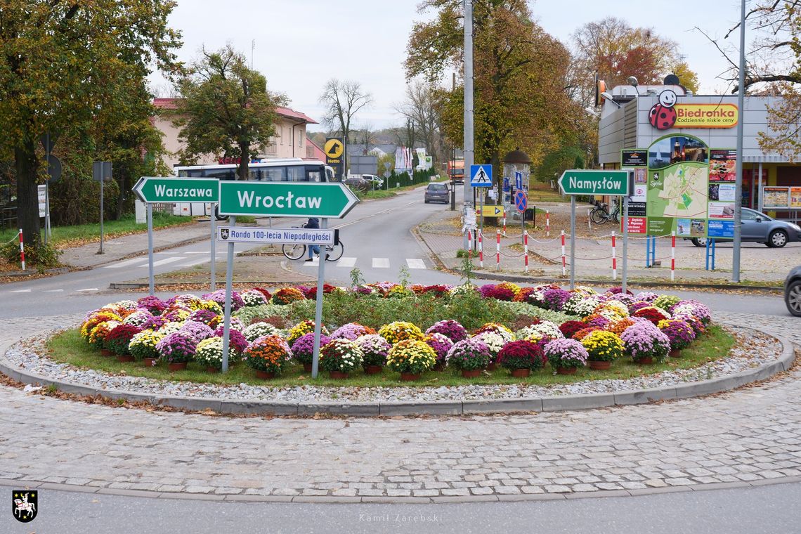 Chryzantemami ukwiecili Syców