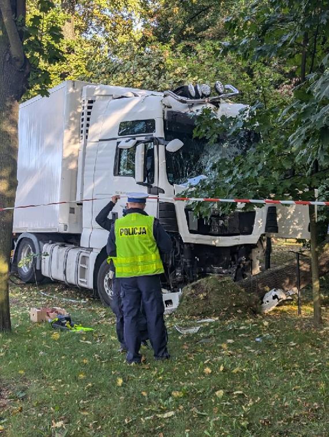 Ciągnik siodłowy wjechał do parku i uderzył w drzewo!