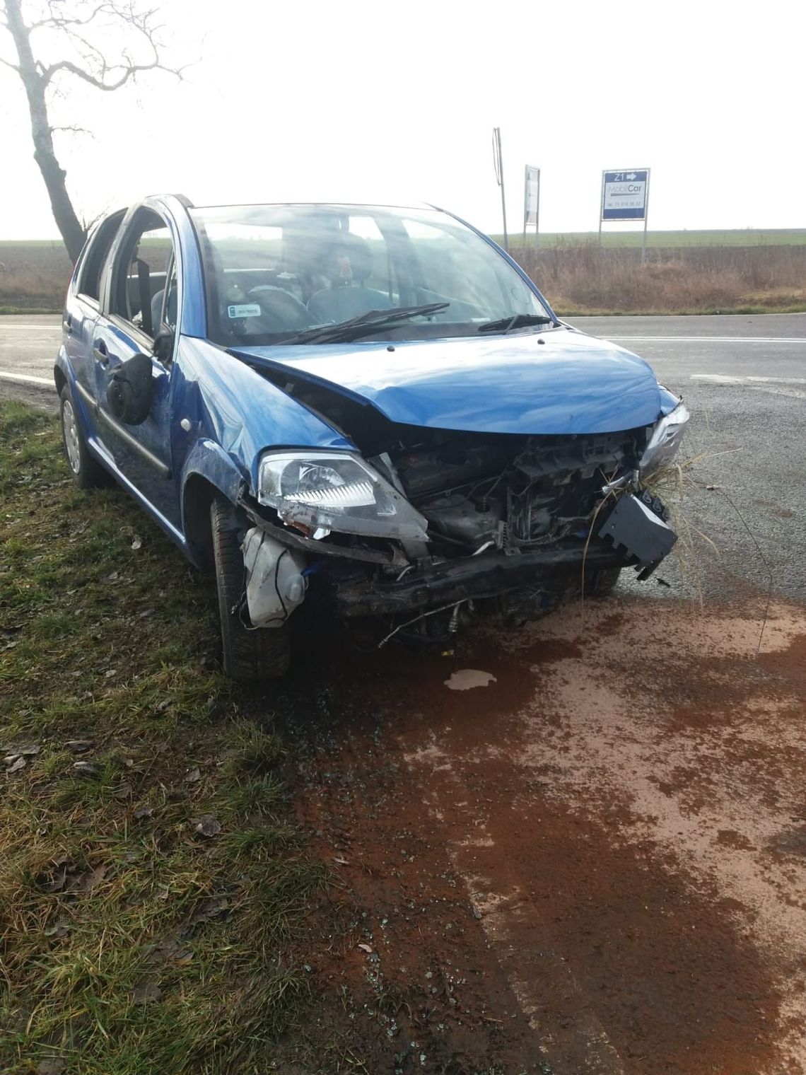 Citroen wylądował w rowie
