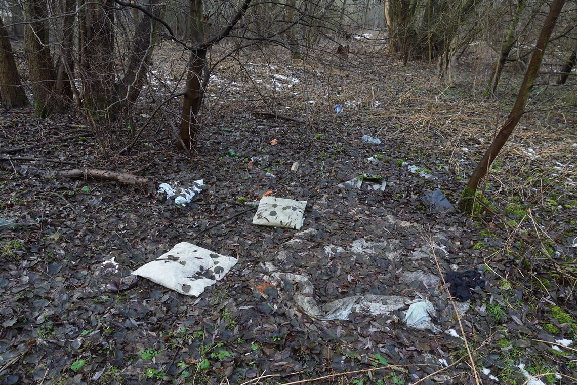 Co z petycją w sprawie powiększenia Parku Książąt Oleśnickich lub utworzenia nowego parku?