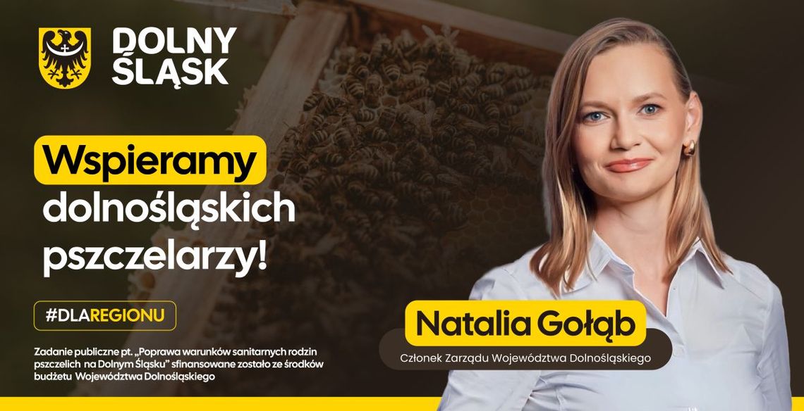 Dolny Śląsk dba o pszczoły – Samorząd przekazuje pokarm