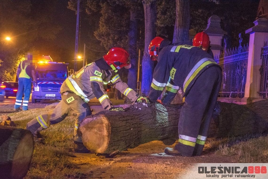 Drzewo spadło na linię energetyczną w Oleśnicy