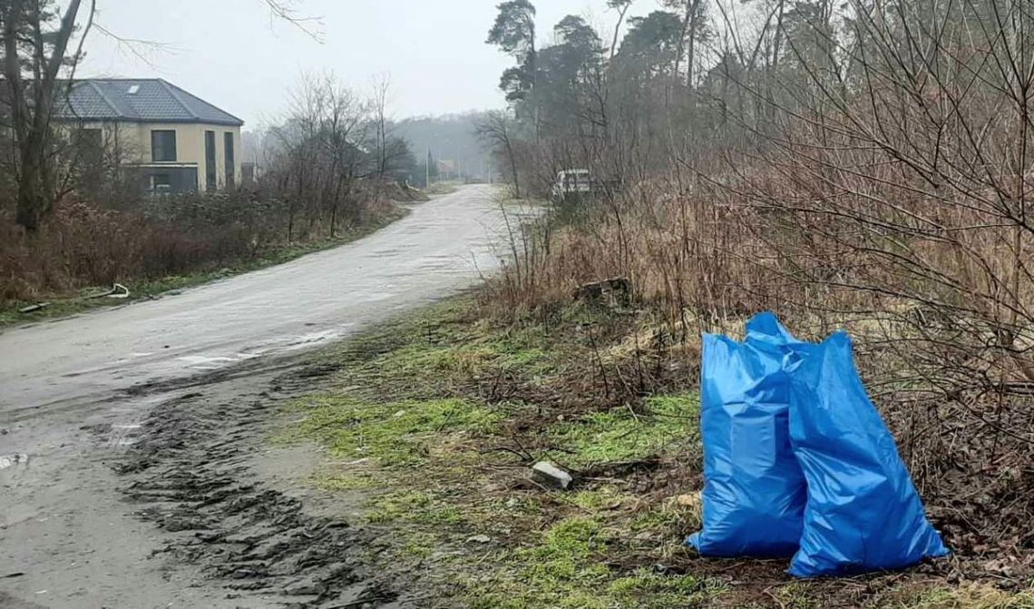 Dziś w leśnictwie Sokołowice posprzątano las