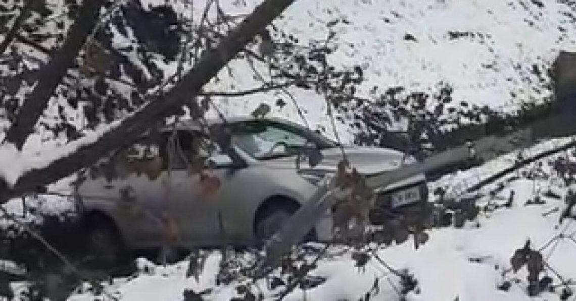 Egzamin na prawo jazdy zakończyła w Oleśniczance