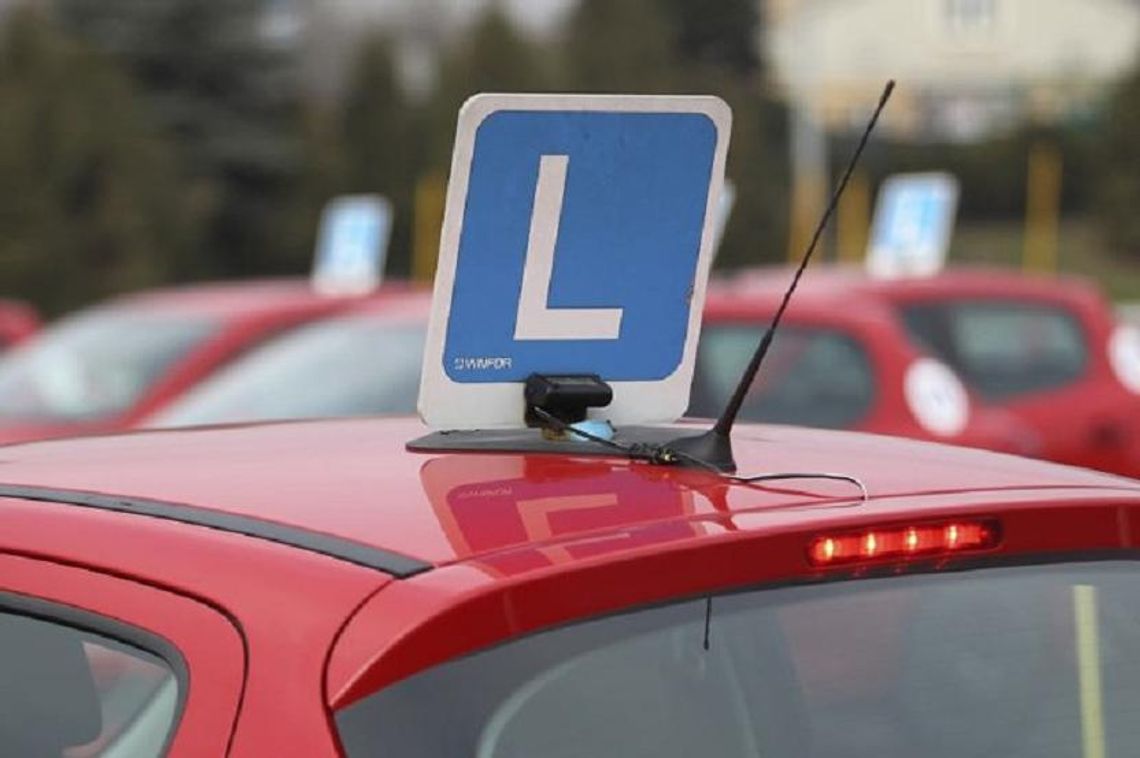 Egzaminy na prawo jazdy wstrzymane również w Oleśnicy