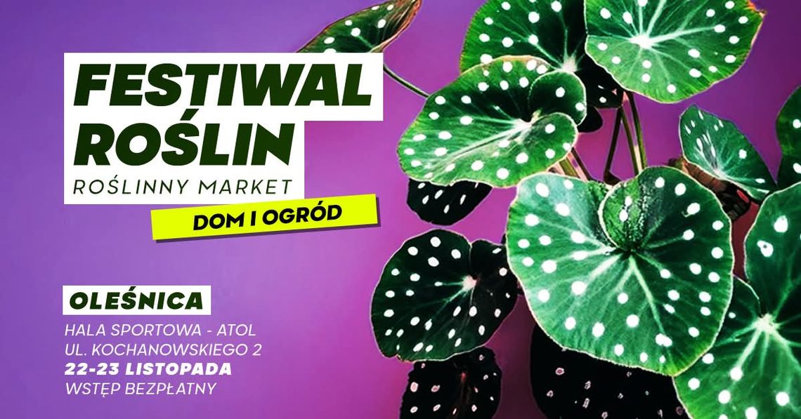 Festiwal Roślin odbędzie się w Oleśnicy
