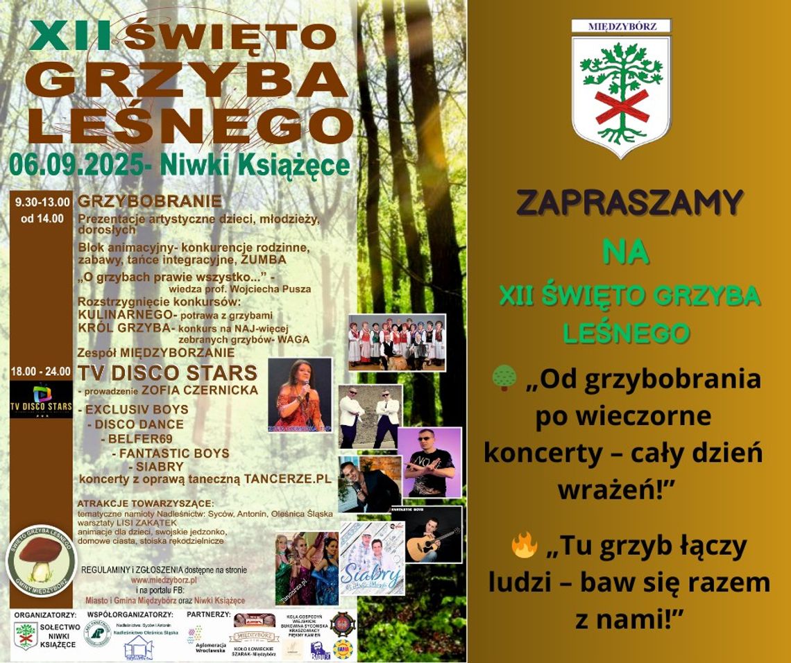 Grzybobranie to nie wszystko