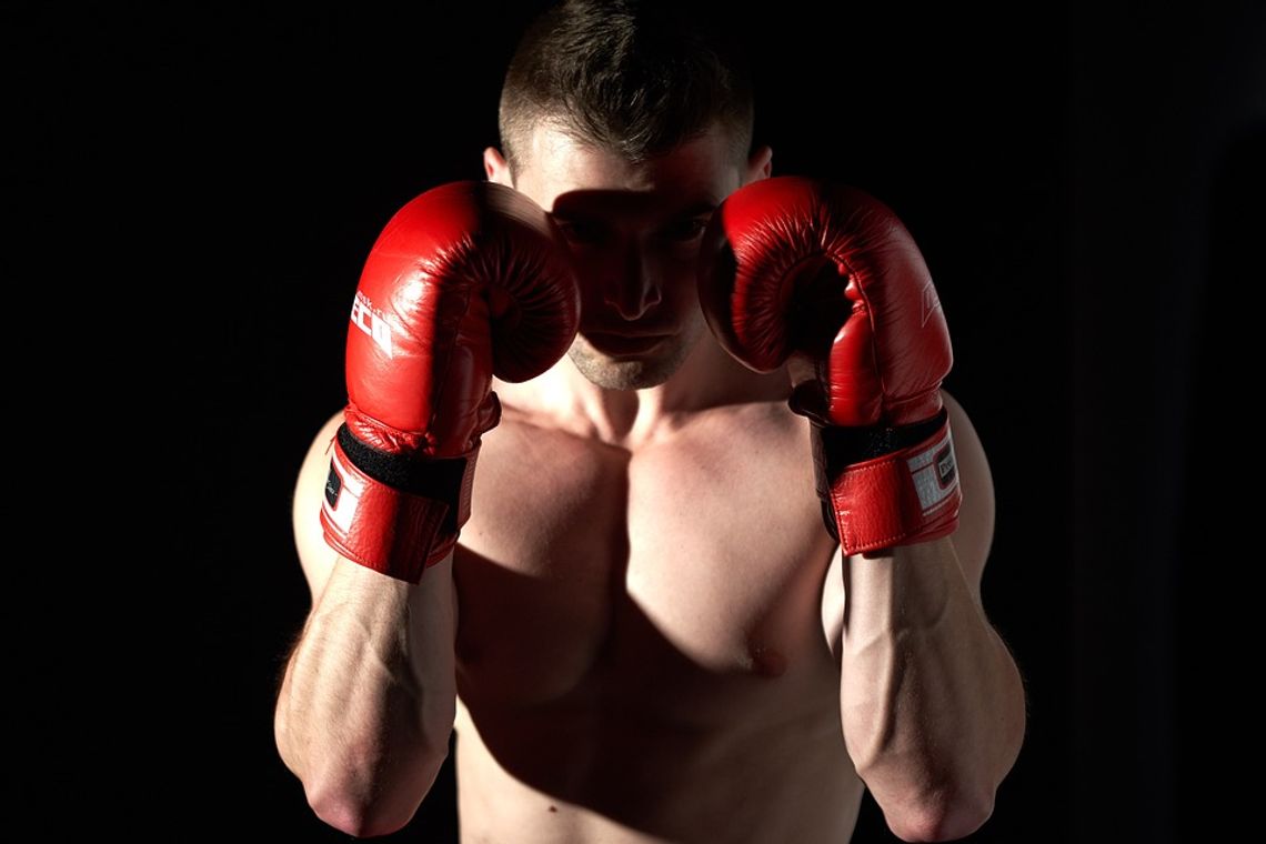Harmonogram Suzuki Boxing Night w Oleśnicy
