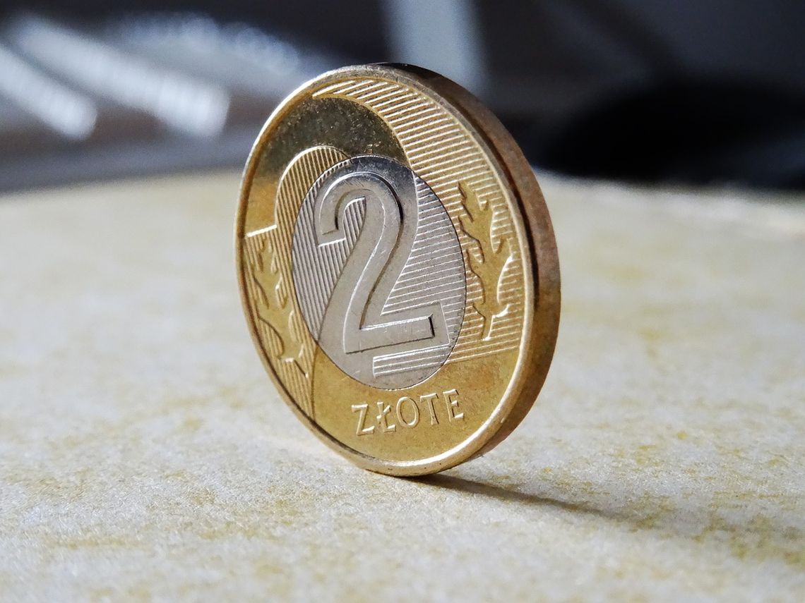 Ile pieniędzy dla stowarzyszeń i organizacji w Oleśnicy?