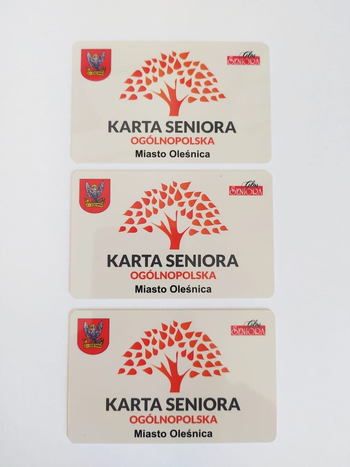 Karty Seniora w Oleśnicy - można już składać wnioski