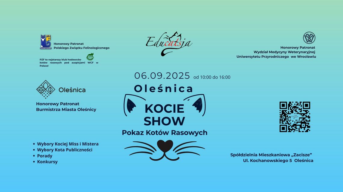 Kocie show w Oleśnicy