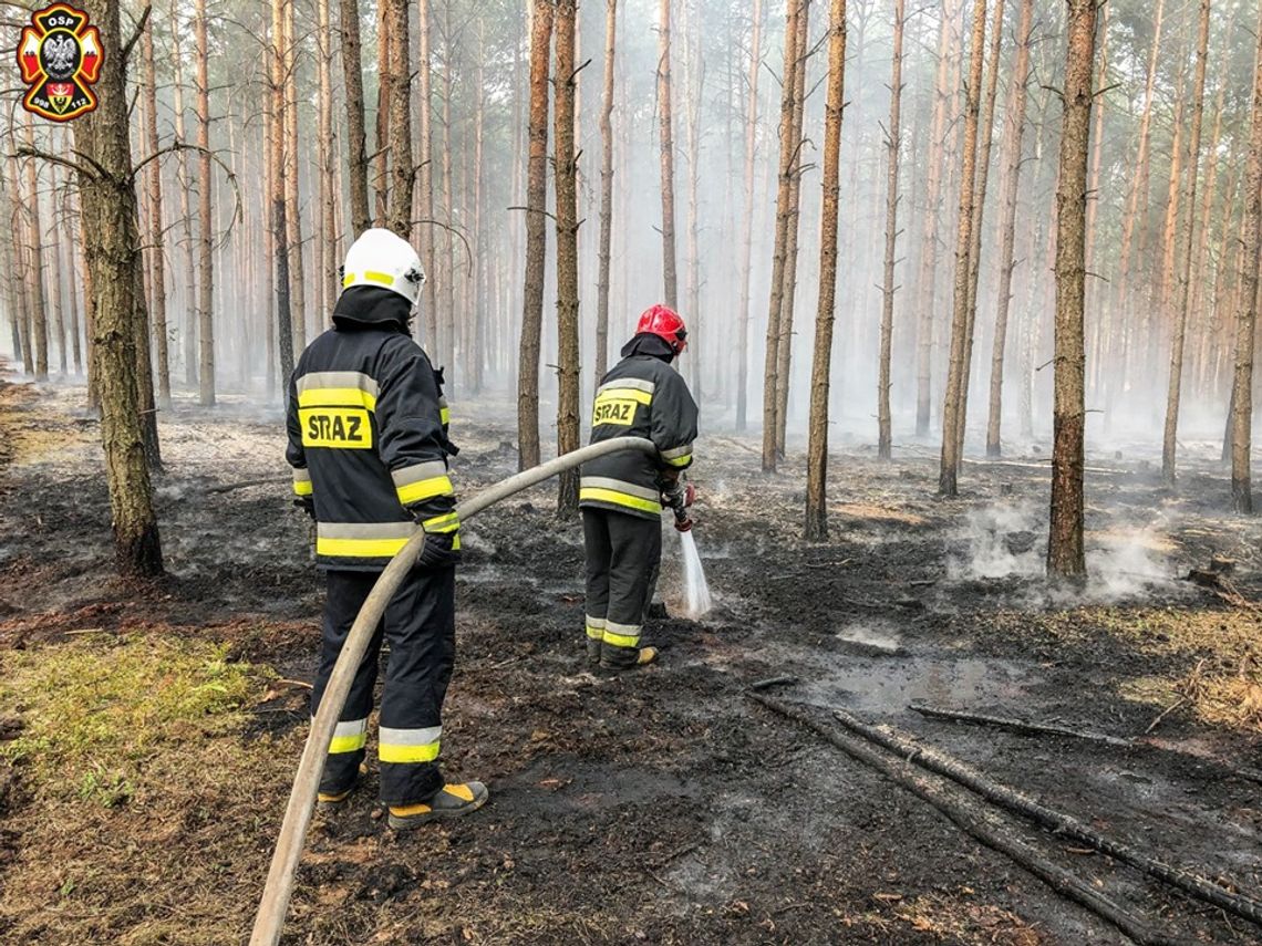 Kolejne pożary w powiecie oleśnickim. To efekt suszy czy podpaleń?!