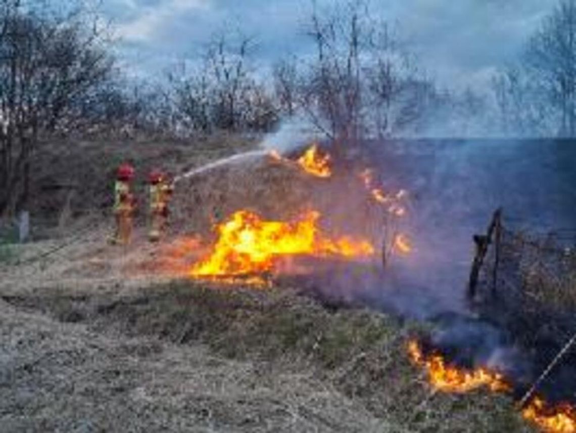 Kolejny pożar na Kwadratach w Oleśnicy