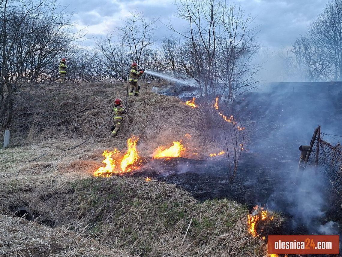 Kolejny pożar na Kwadratach w Oleśnicy
