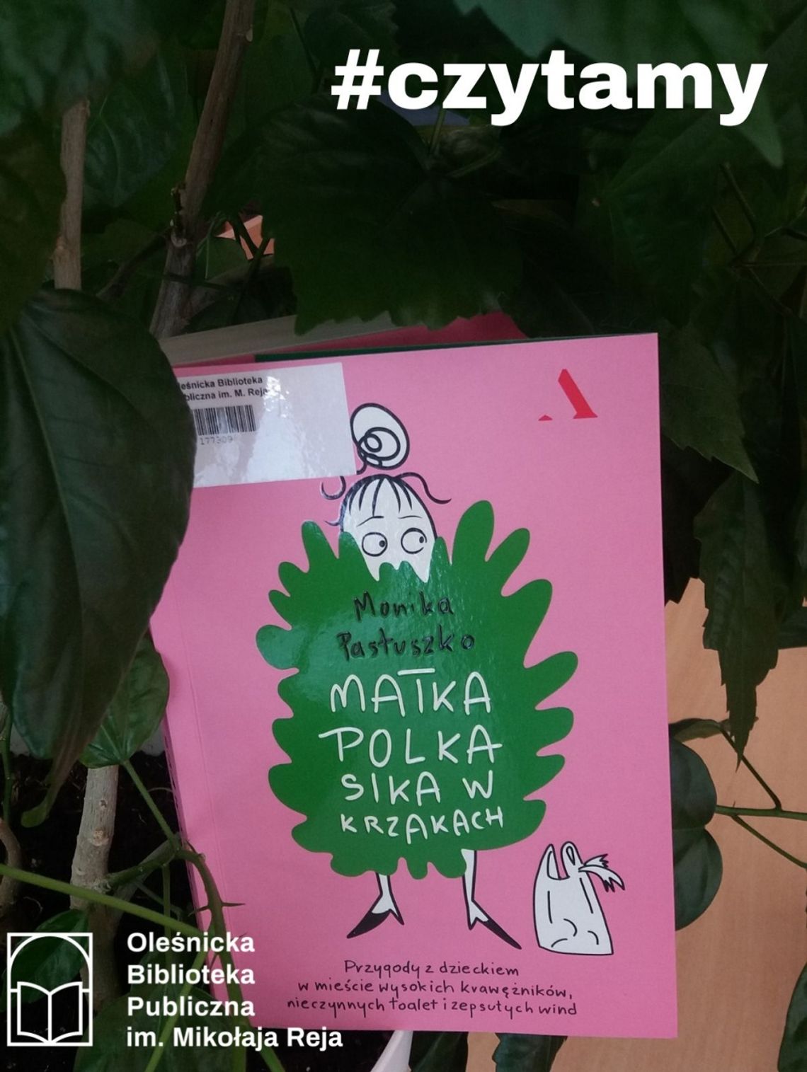 „Matka Polka sika w krzakach” - polecamy