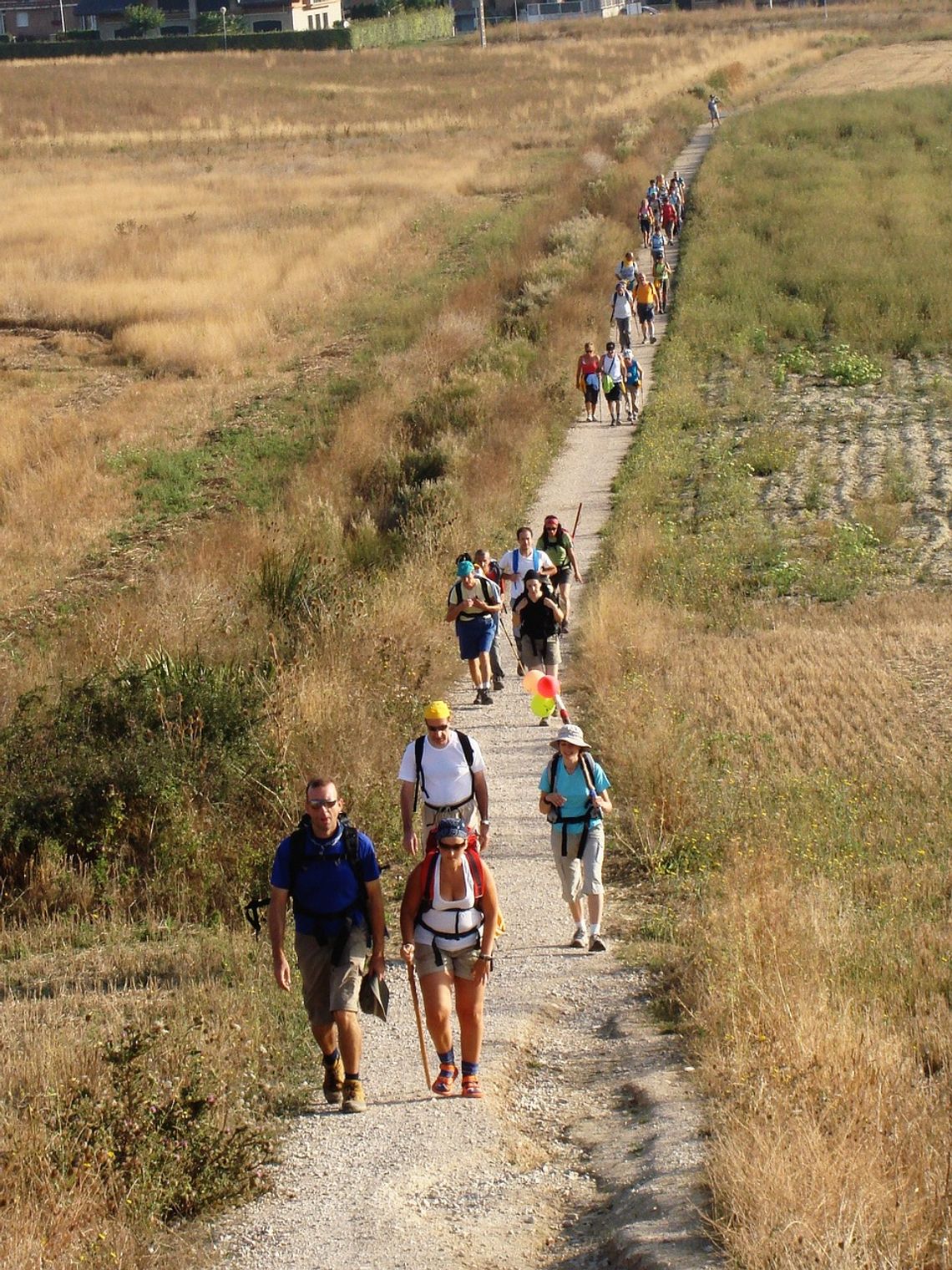 "Moje Camino" w muzeum w Sycowie