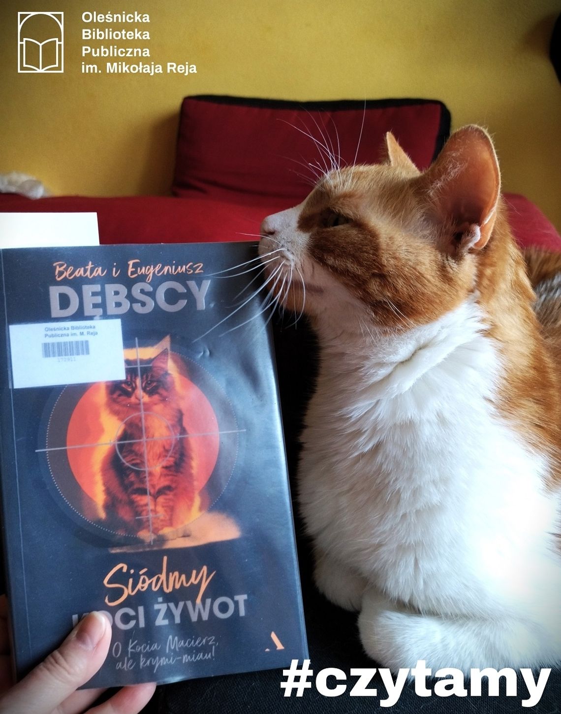 Na weekend polecamy dobry krymi-miau