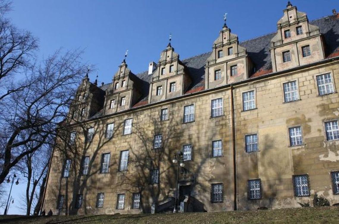 NASZ NEWS: Milioner zrobi hotel w zamku w Oleśnicy?!