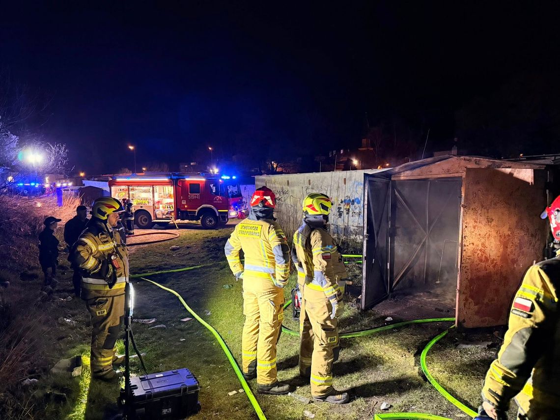 Niecodzienne wezwanie - żmije zygzakowate na posesji